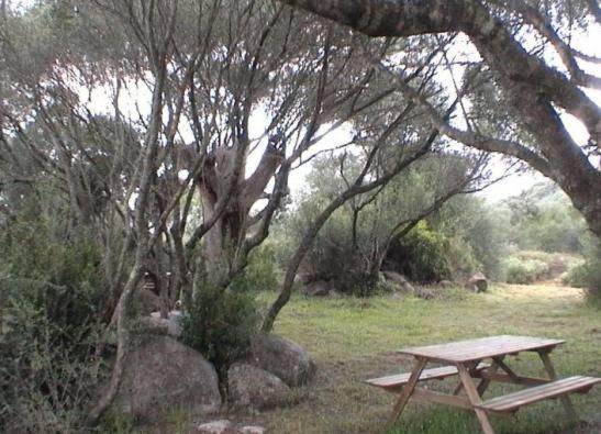 Villa Les Bergeries D'Ogliastrello Figari  Esterno foto
